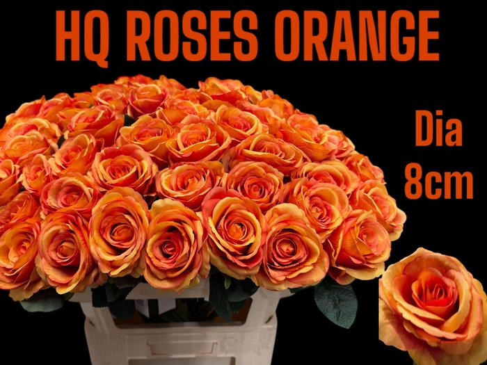 <h4>HUIS EN TUINDECO H%</h4>