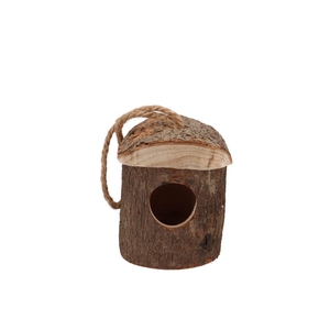 Festive Bird Nest Pine 11x11x12cm