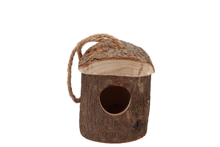 <h4>Festive Bird Nest Pine 11x11x12cm</h4>