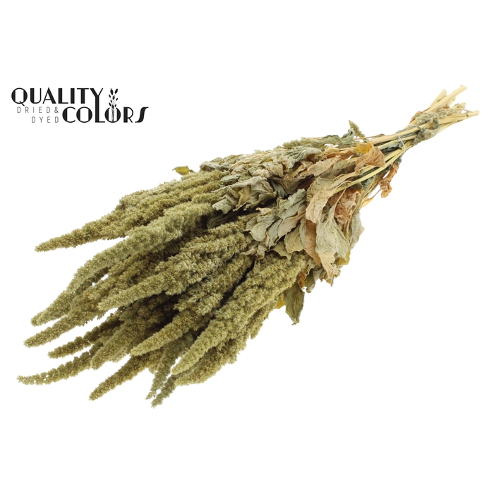 <h4>Amaranthus per bunch Natural Green</h4>