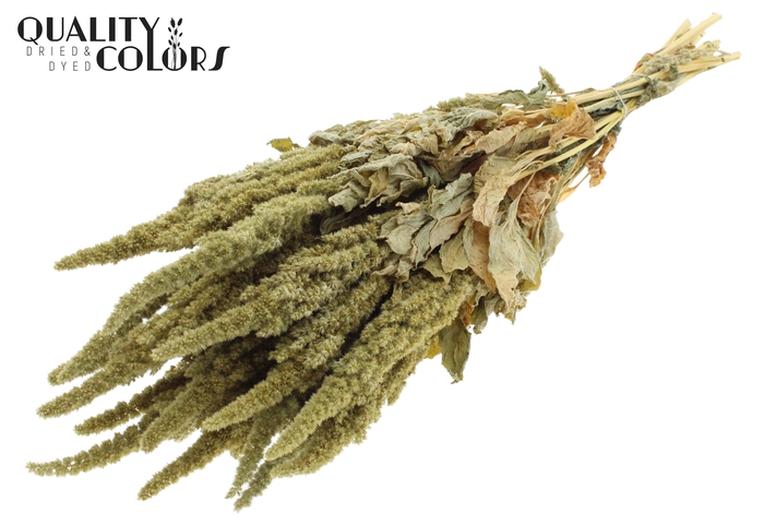 <h4>Amaranthus per bunch Natural Green</h4>
