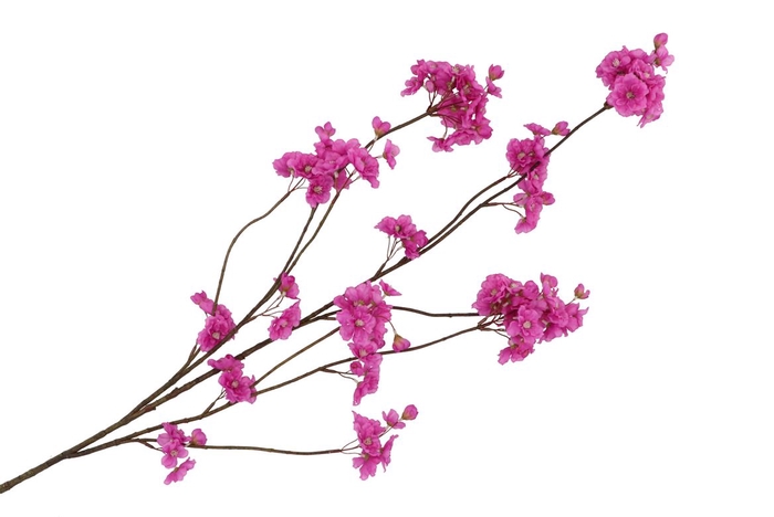 <h4>Silk Cherry Blossom Purple 126cm</h4>