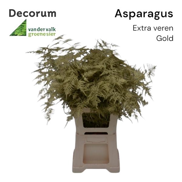 <h4>Asp extra veren Gold</h4>