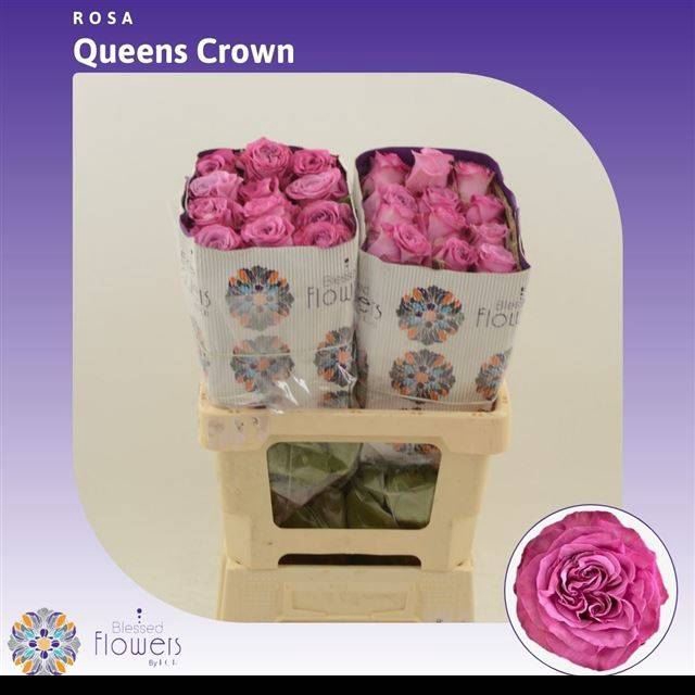 <h4>Rs gr Queens Crown</h4>