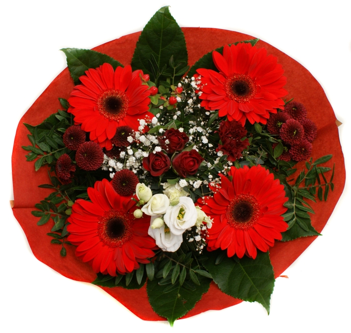 <h4>202275 Rood</h4>