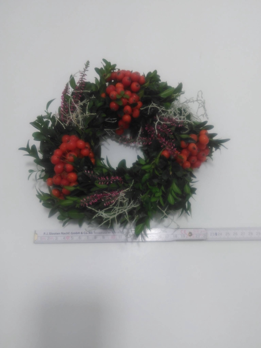 <h4>KRANZ 24 HAGEBUTE ERIKA-BUX 15CM</h4>