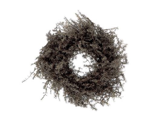 Wreath Asparagus Wax D20