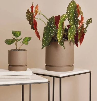 <h4>CACHEPOT EM CIMENTO 13478 IMP</h4>