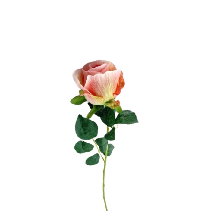 <h4>Promo Rosa 58cm</h4>