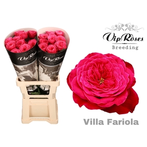 R GR VILLA FARIOLA