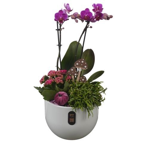 <h4>PTHI3243 Arrangement Autumn Indoor in keramiek pot</h4>