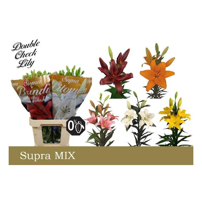 <h4>Li La Gem In Fust</h4>