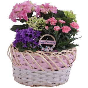 Mothersday Arr. Outdoor Willow Basket oval Threetone Ø28cm 4PP