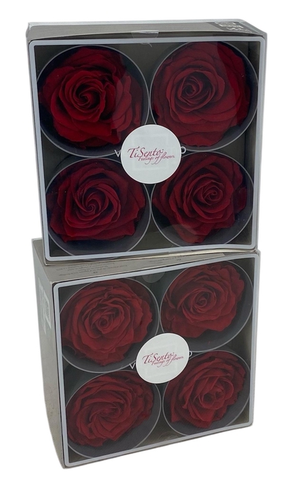 <h4>ARR ROSA POT H%</h4>