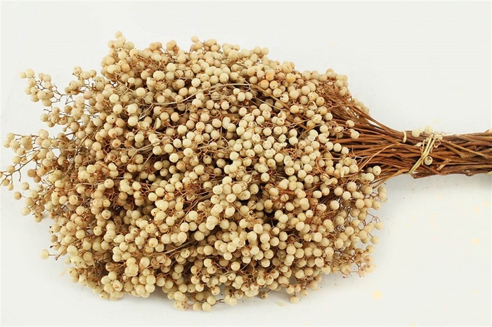 <h4>Schinus M Pt White Bleached Bunch</h4>