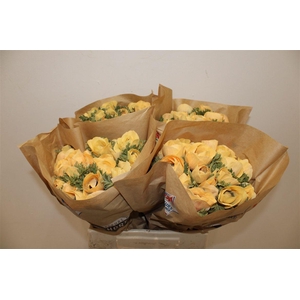 Anem Marianne Powder Abricot