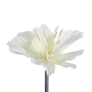 Stem Emperor Flower L30w30h40