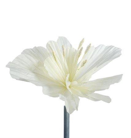 <h4>Stem Emperor Flower L30w30h40</h4>