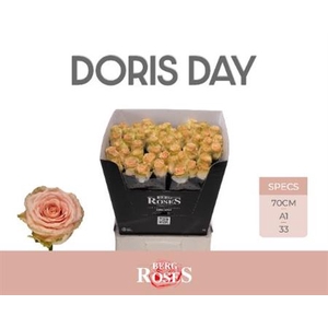 R Gr Doris Day