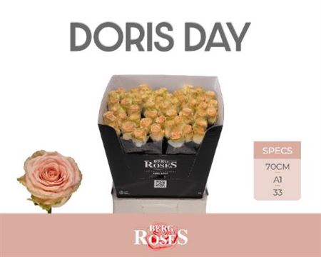 R Gr Doris Day