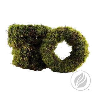 Krans Mos 30cm
