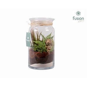 Glas Melkbus met Arrangement