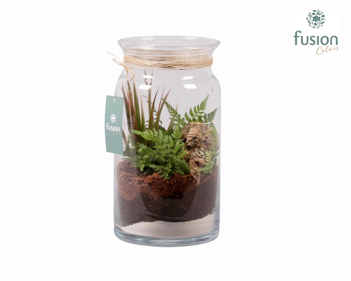 <h4>Glas Melkbus met Arrangement</h4>