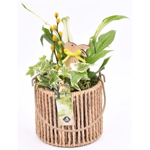 Touw lantaarn met glas 13cm h11.5cm