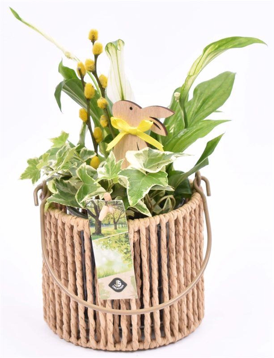 <h4>Touw lantaarn met glas 13cm h11.5cm</h4>