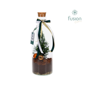 Green Bottle Fles Medium met Kerst arrangement met LED