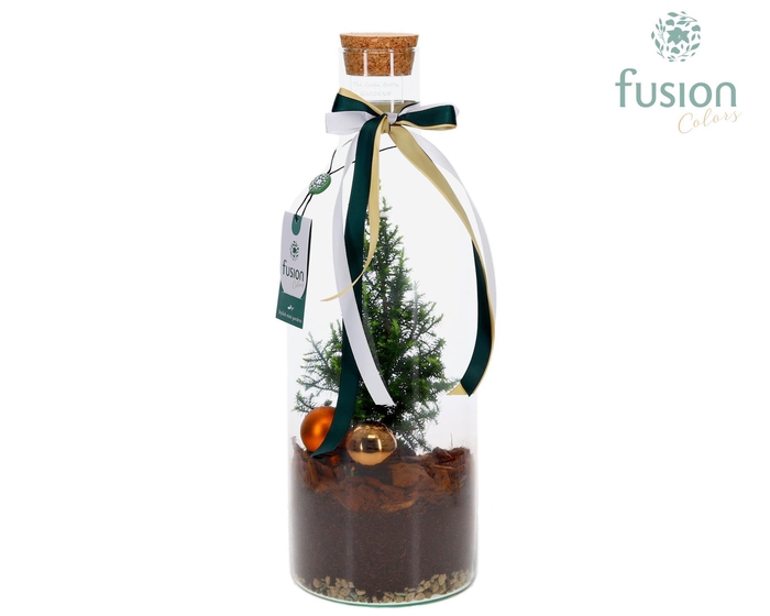 <h4>Green Bottle Fles Medium met Kerst arrangement met LED</h4>
