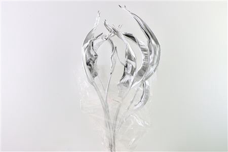 <h4>Dried Strelitzia Leaf L Silver Stem Slv</h4>