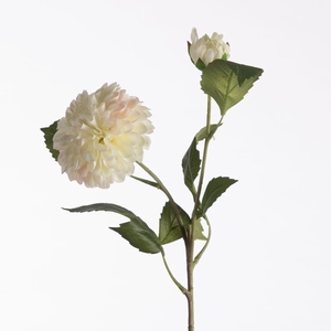 AF Dahl Pompon x2 L61cm Cream