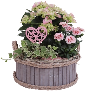Mothersday Arr. Outdoor Wooden Pot Waterhyacinth Rim Ø25cm 3PP