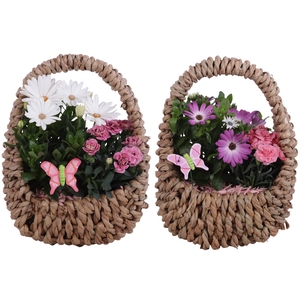Spring Flower Arr. Outdoor Willow Egg Shaped Basket Ø23cm 2PP