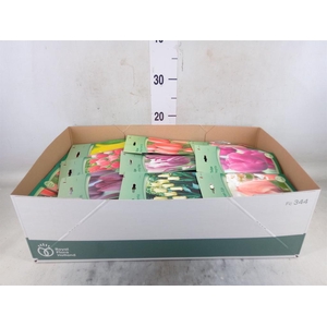 Flowerbulbs, corns or tubers   ...