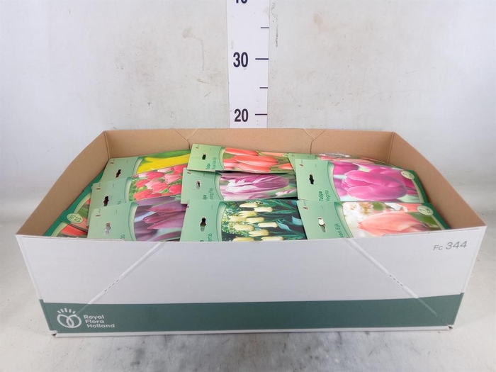 <h4>Flowerbulbs, corns or tubers ...</h4>