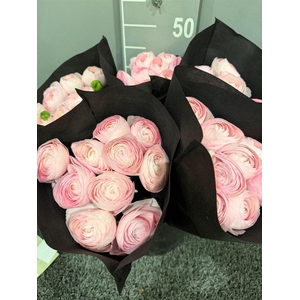 Ran Suc Madame Rosa Sup