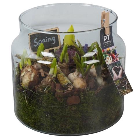 <h4>PTBM3953 Arrangement Flower Bulbs Mix in glazen vaas</h4>