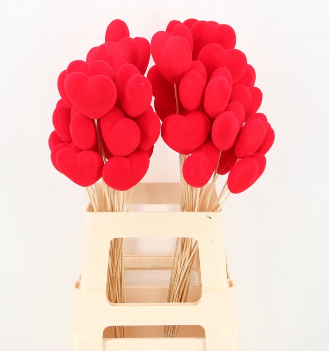 <h4>HARTJE OP STOK H%</h4>