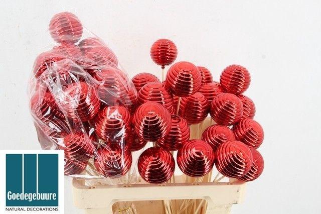 <h4>KERSTBAL OP STOK H%</h4>