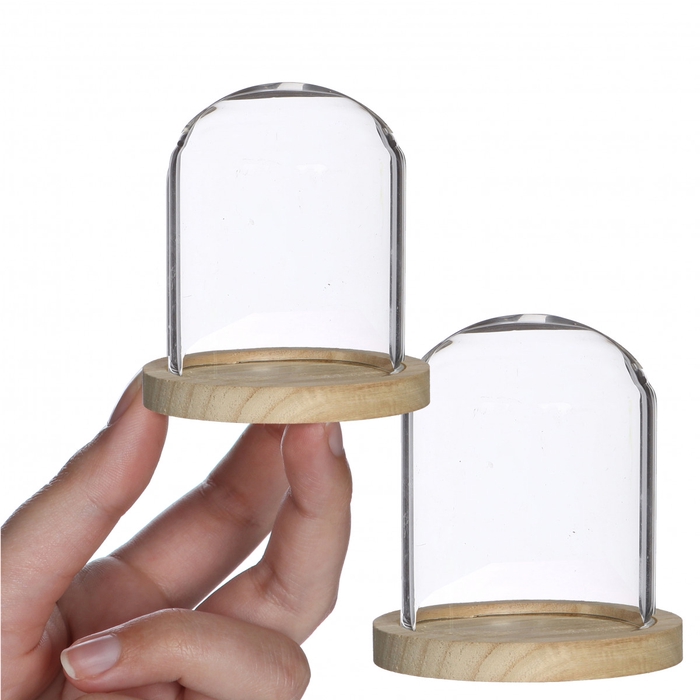 <h4>Glass Cloche+wood d08*08cm</h4>