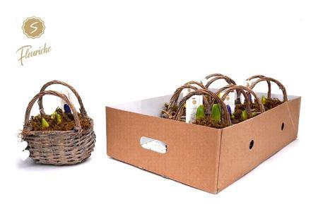 <h4>Hyacinth Mix 3701 Hengselmand 3pp</h4>