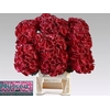 Hydrangea mag dark ruby