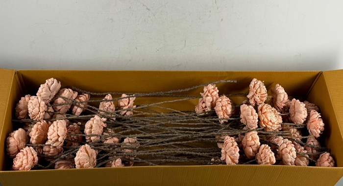 <h4>Stick Shola Artichoke Ø12 Salm</h4>