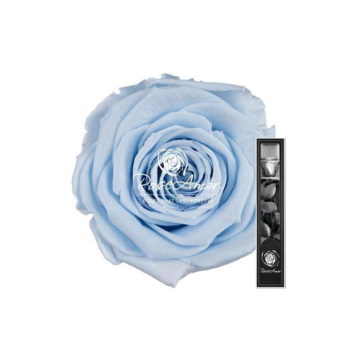 <h4>30cm Stem Blu89</h4>