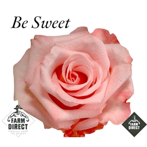 R GR BE SWEET