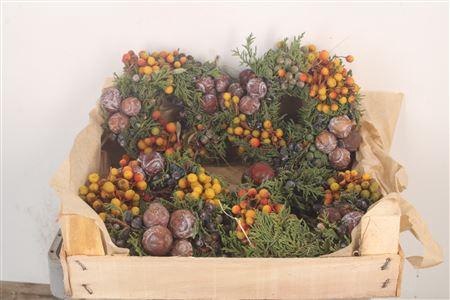 <h4>Krans Adv Cone Mix 4 15cm</h4>