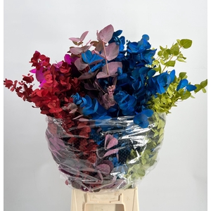 Leaf eucalyptus cinerea paint mix