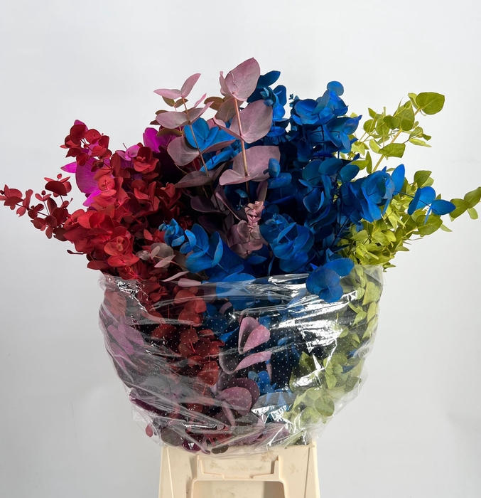 <h4>Leaf eucalyptus cinerea paint mix</h4>